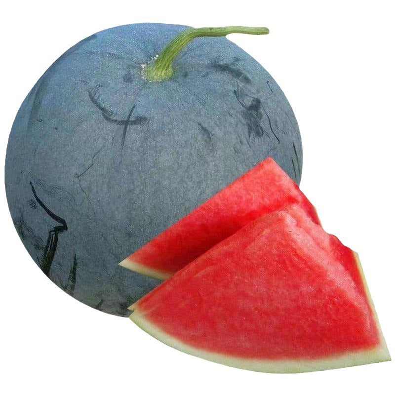 Black-Skinned Seedless Watermelon Seeds