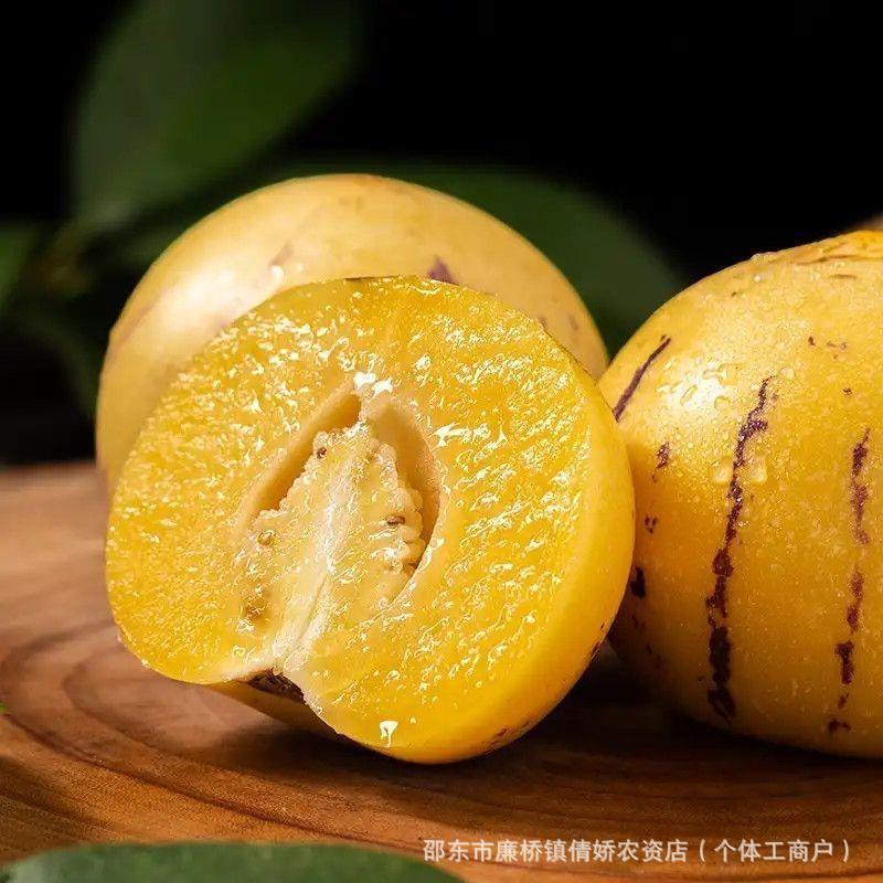 Ginseng Fruit Seeds