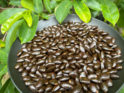 Premium Soursop (Guanabana) Seeds (Non-GMO)